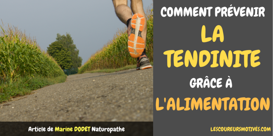 Article Tendinite et Alimentation